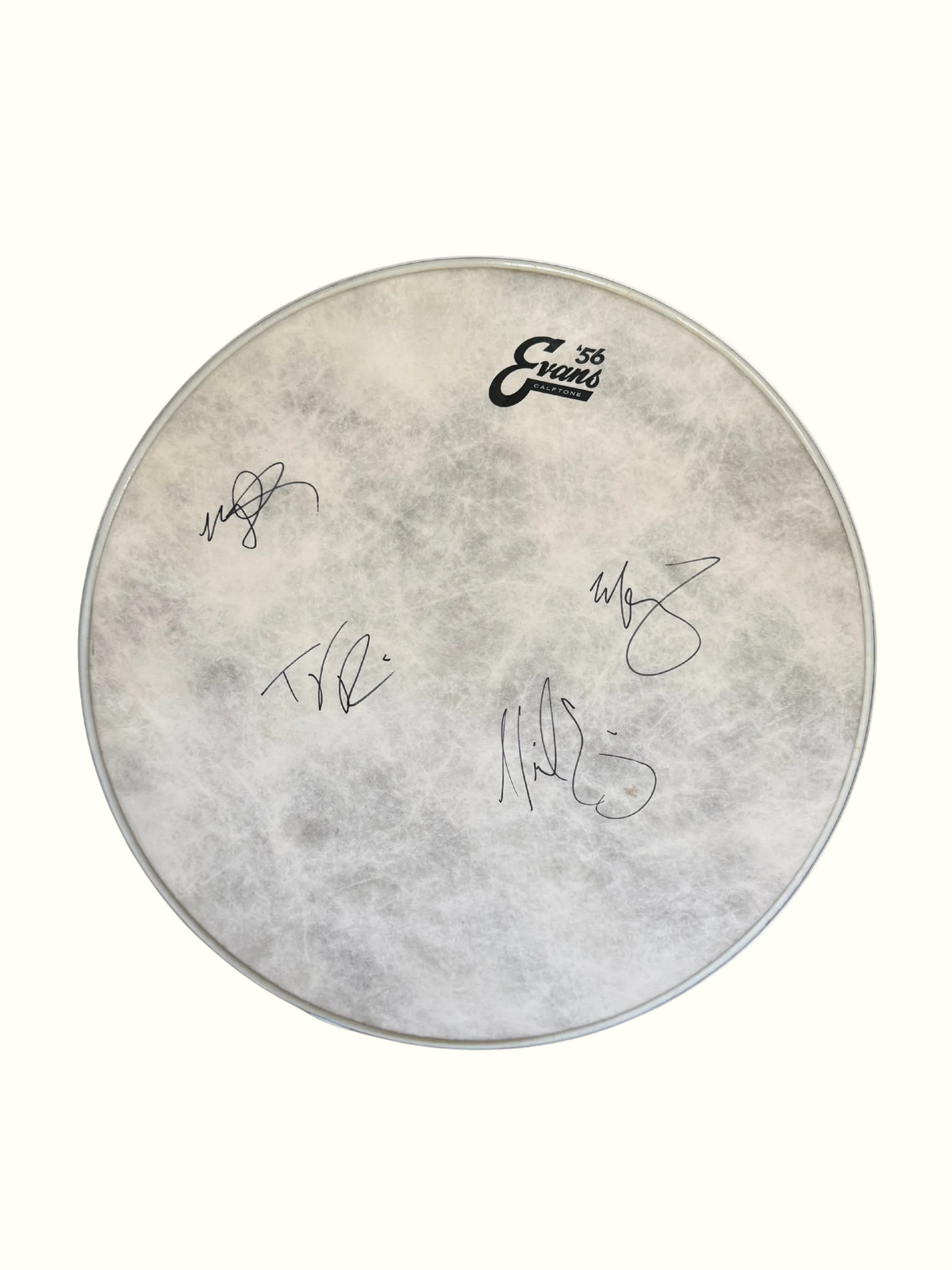 Signed Stage-Used Drumhead