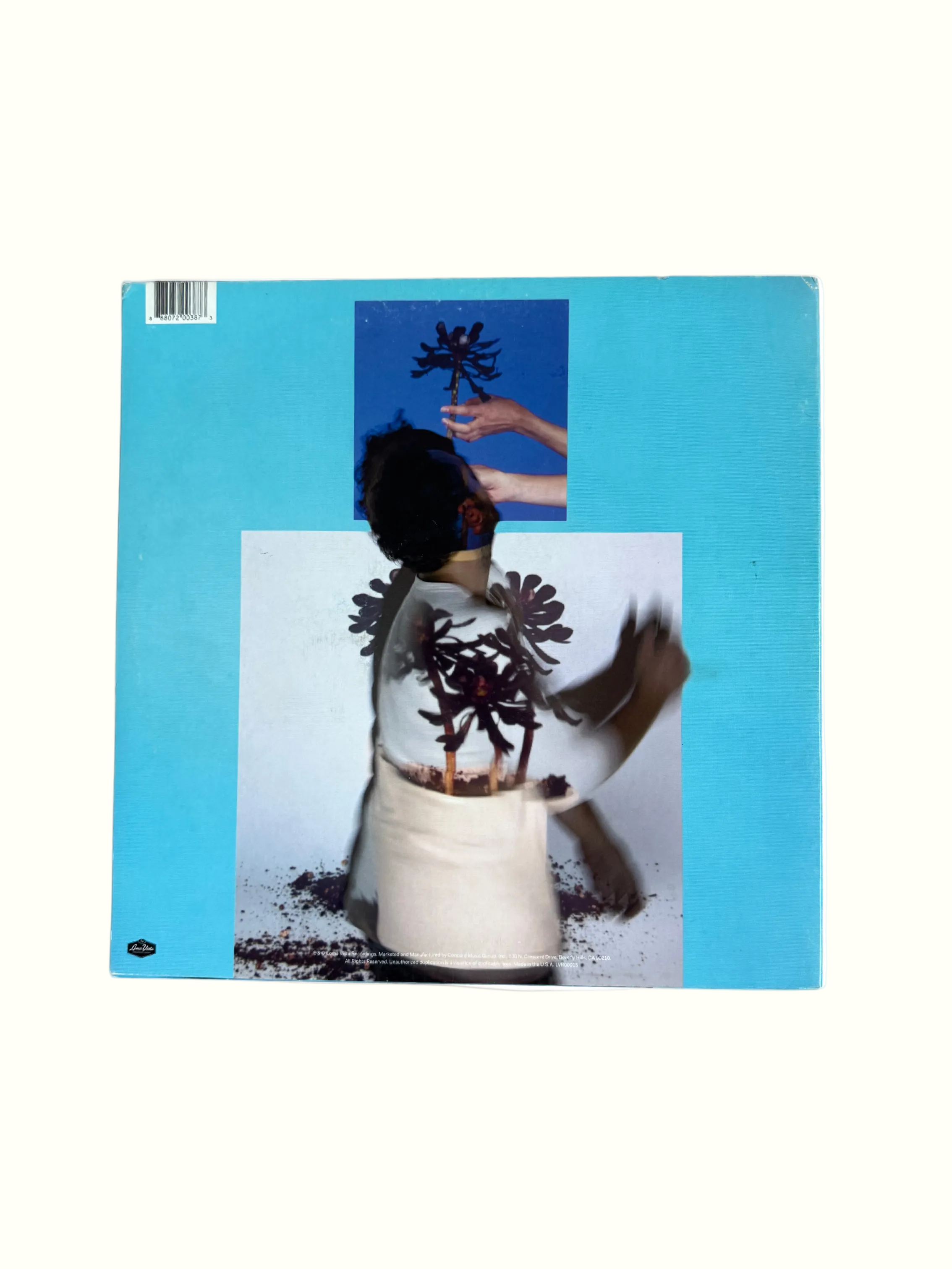 Signed Sunlit Youth Vinyl