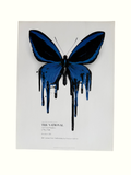 The National x Local Natives San Fran Tour Poster (2011)
