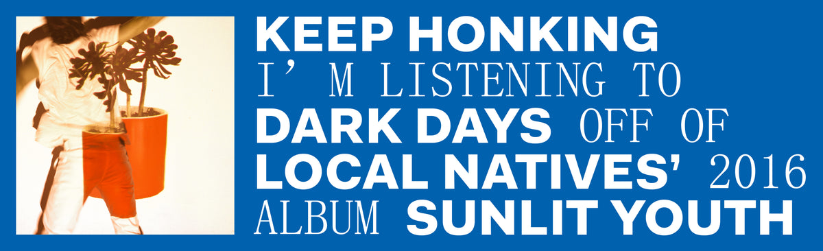 Sunlit Youth Bumper Sticker